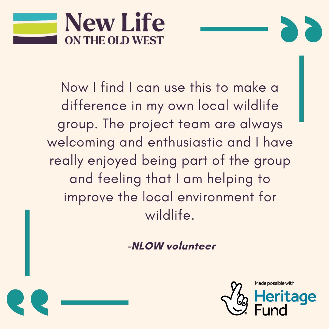 NewLifeOldWest's tweet photo. As #VolunteersWeek comes to an end, we just wanted to say a big thank you to all of our wonderful #NLOW volunteers. We really appreciate all that you do for wildlife in the Cambridgeshire fens!
#newlifeoldwest #thankyou #volunteering #community #cambridgeshire #fens https://t.co/2CETyRkFAR