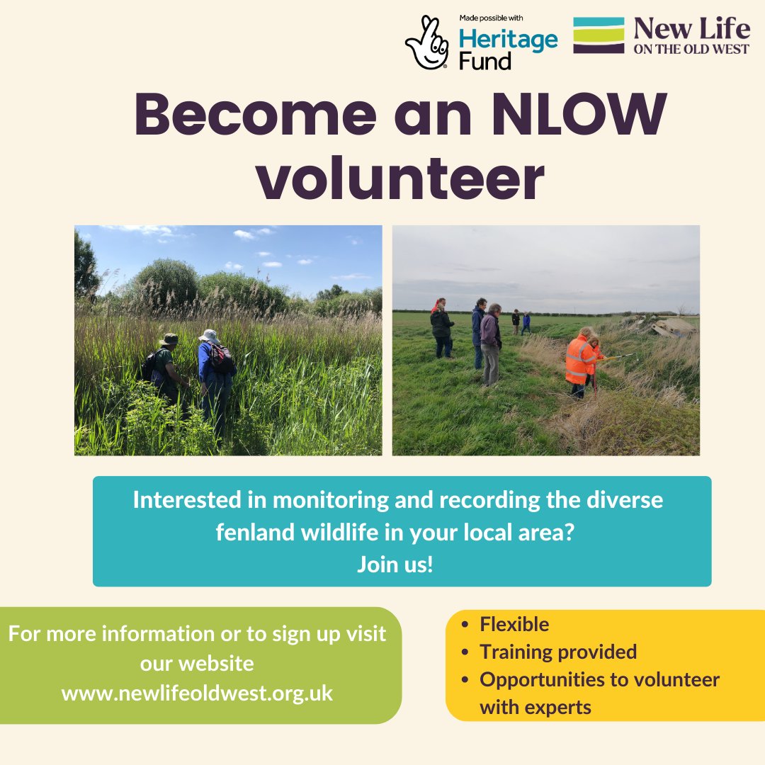 NewLifeOldWest's tweet photo. As #VolunteersWeek comes to an end, we just wanted to say a big thank you to all of our wonderful #NLOW volunteers. We really appreciate all that you do for wildlife in the Cambridgeshire fens!
#newlifeoldwest #thankyou #volunteering #community #cambridgeshire #fens https://t.co/2CETyRkFAR