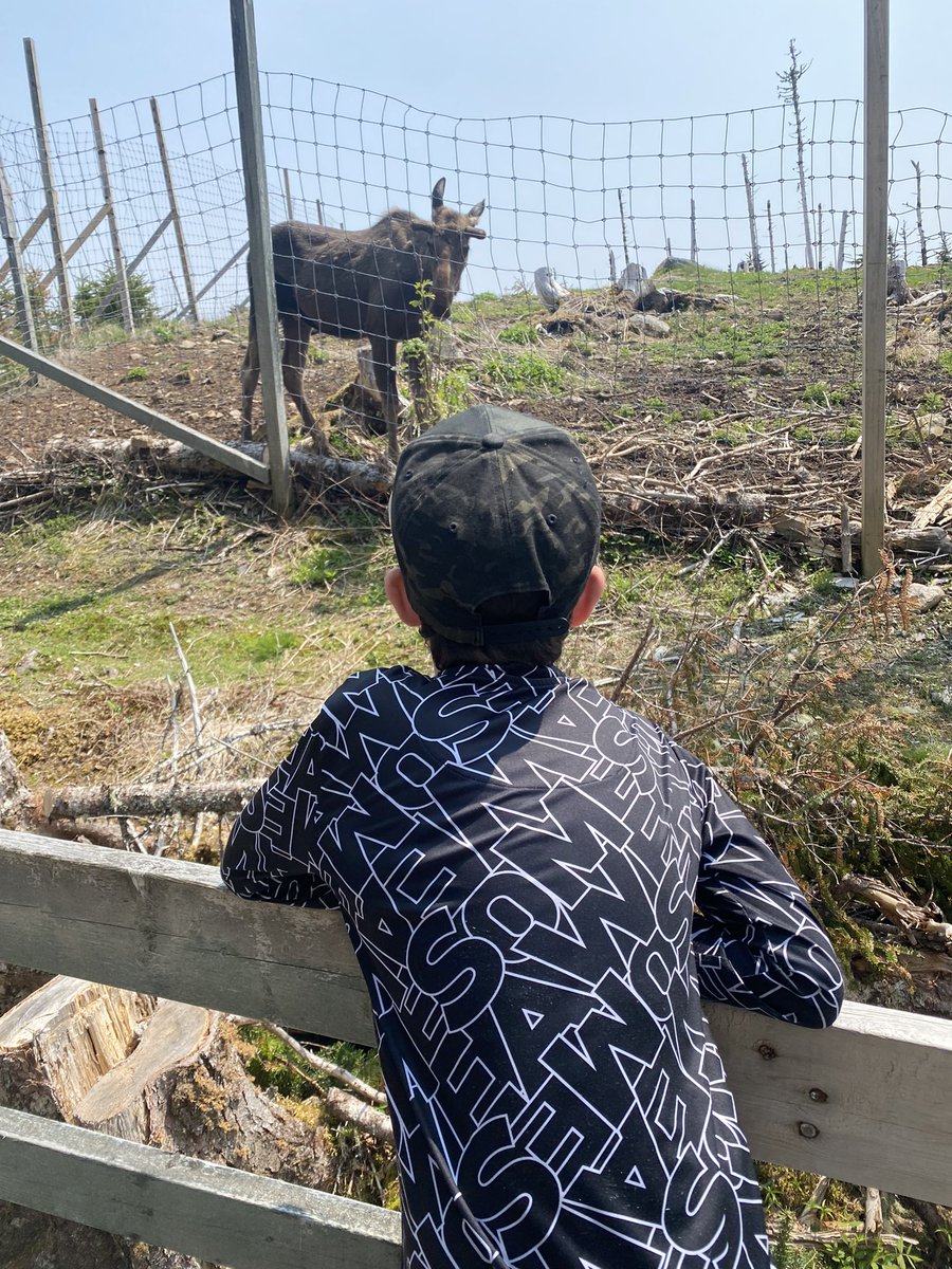 Meagan Perry tweet media