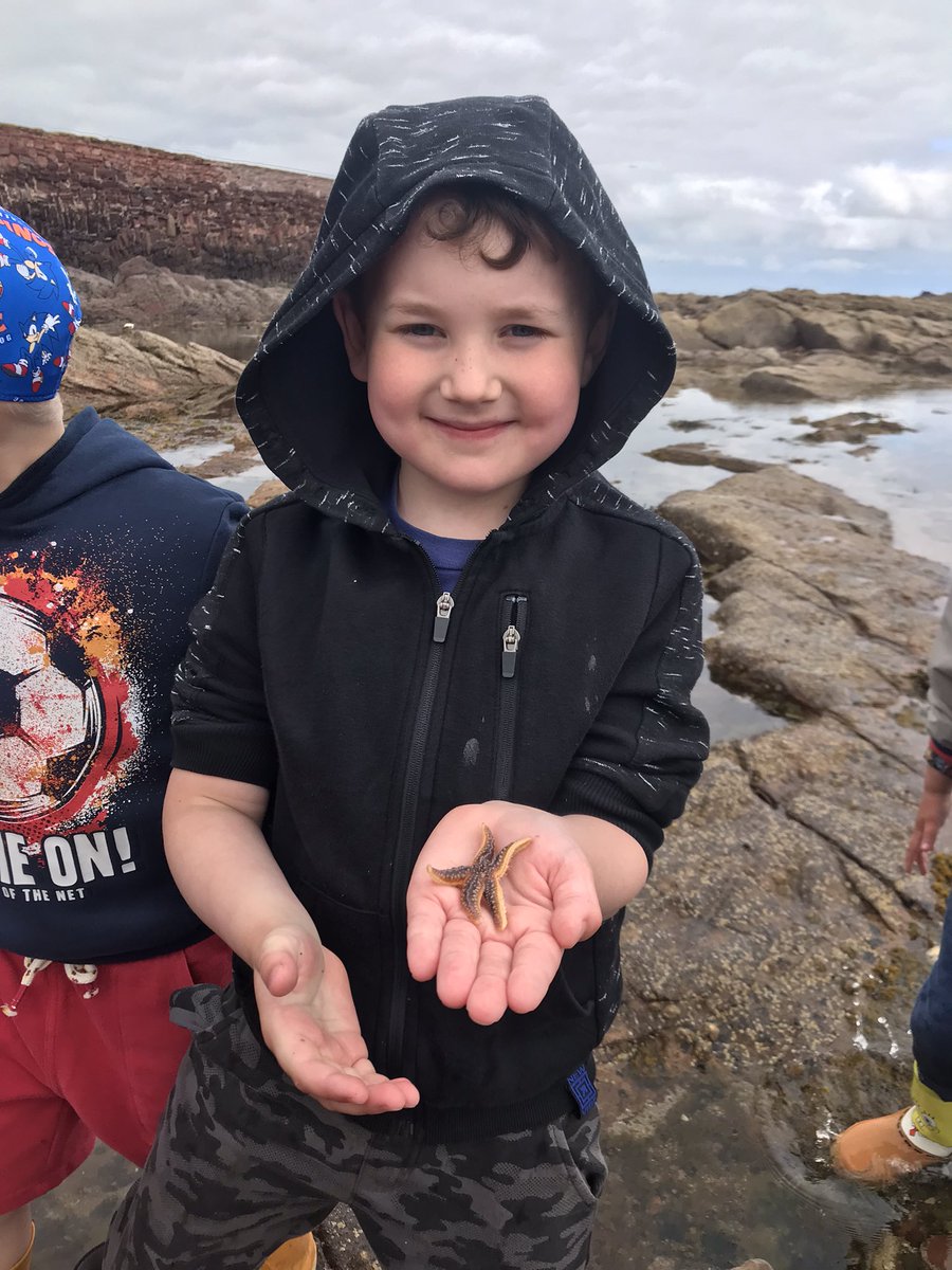 LethamMains's tweet photo. P1 had a fabulous day at Dunbar East Beach today. We enjoyed exploring the rock pools and with the help of our lovely  @ELCrangers we spotted lots of different sea creatures. We had lots of fun on the sand and even had a picnic! 🌊 🦀 🐠 https://t.co/QmCTxpMpru