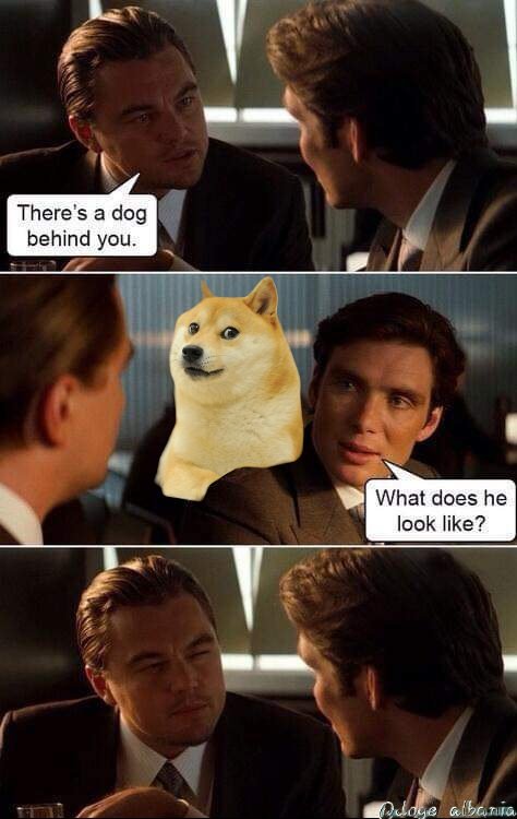 #Doge 🔥