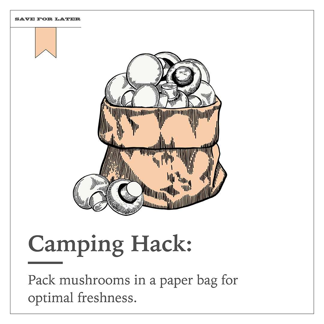 Make sure to add mushrooms to your camping packing list. 🏕️🪵🍄 #Mushrooms #NationalCampingMonth