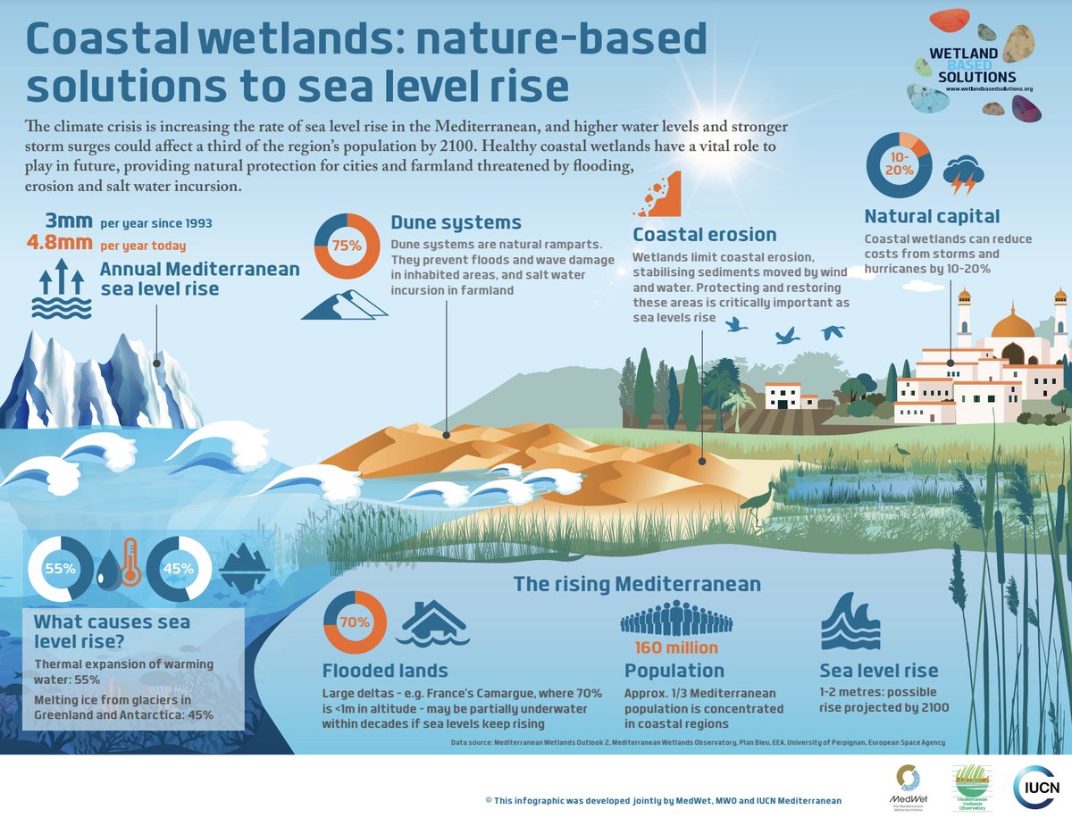 UN Biodiversity (@unbiodiversity) on Twitter photo Coastal wetlands: nature-based solutions to sea level rise
Via <a href="/WetlandsNbS/">Wetland-based Solutions</a> <a href="/MedWetOrg/">MedWet</a> <a href="/IUCN_Med/">IUCN Centre for Mediterranean Cooperation 🌿</a> and MWO Coastal wetlands: nature-based solutions to sea level rise
Via <a href="/WetlandsNbS/">Wetland-based Solutions</a> <a href="/MedWetOrg/">MedWet</a> <a href="/IUCN_Med/">IUCN Centre for Mediterranean Cooperation 🌿</a> and MWO
