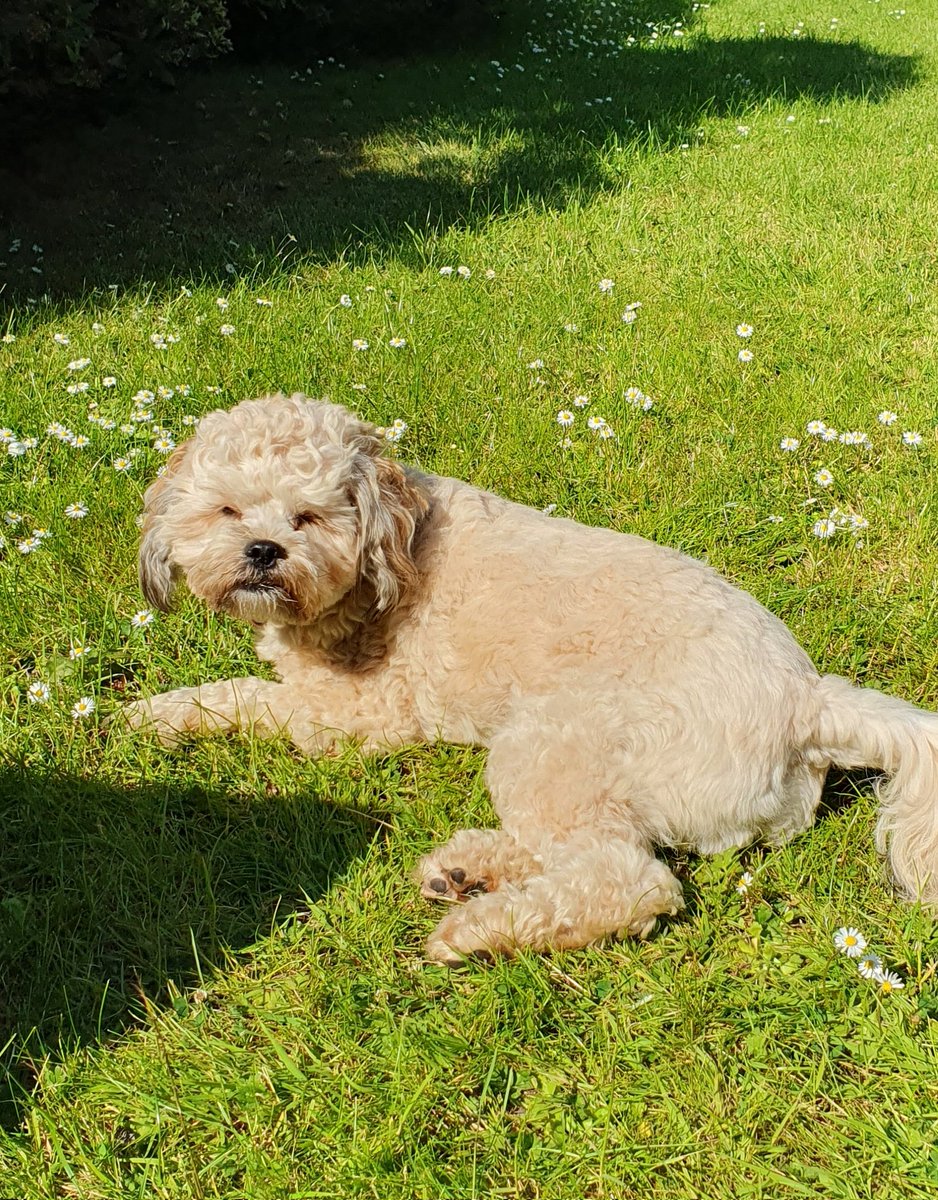 Get you a guy whose face squishes up after naps