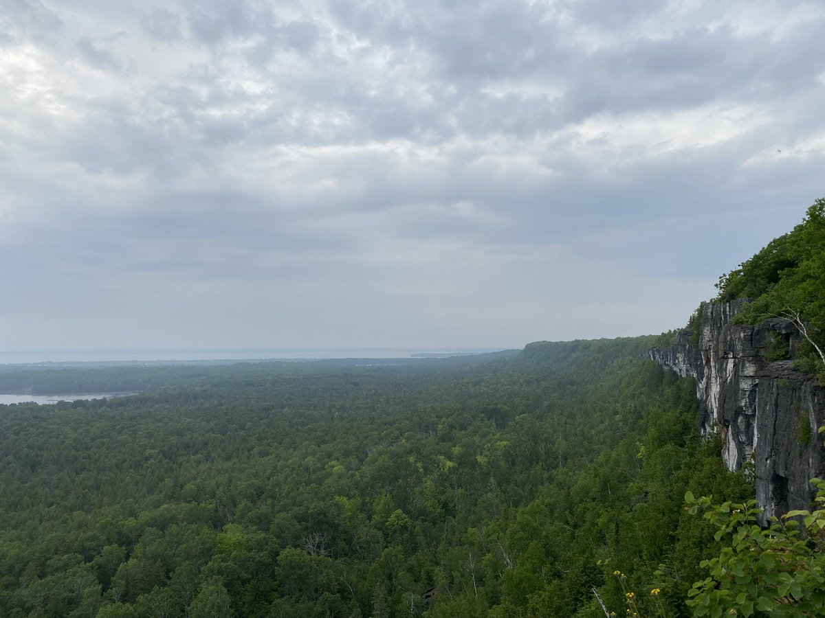 Rob Thomson tweet media