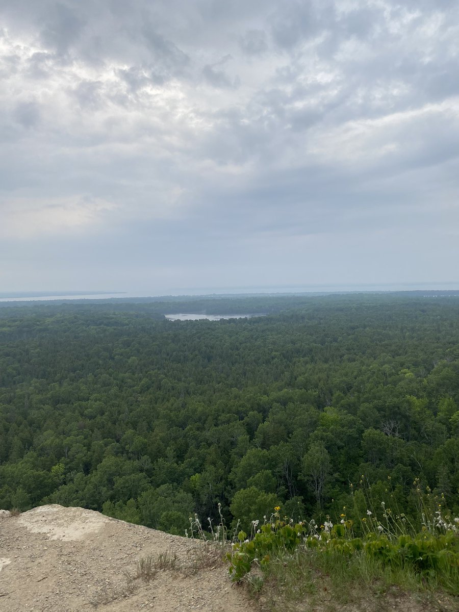 Rob Thomson tweet media