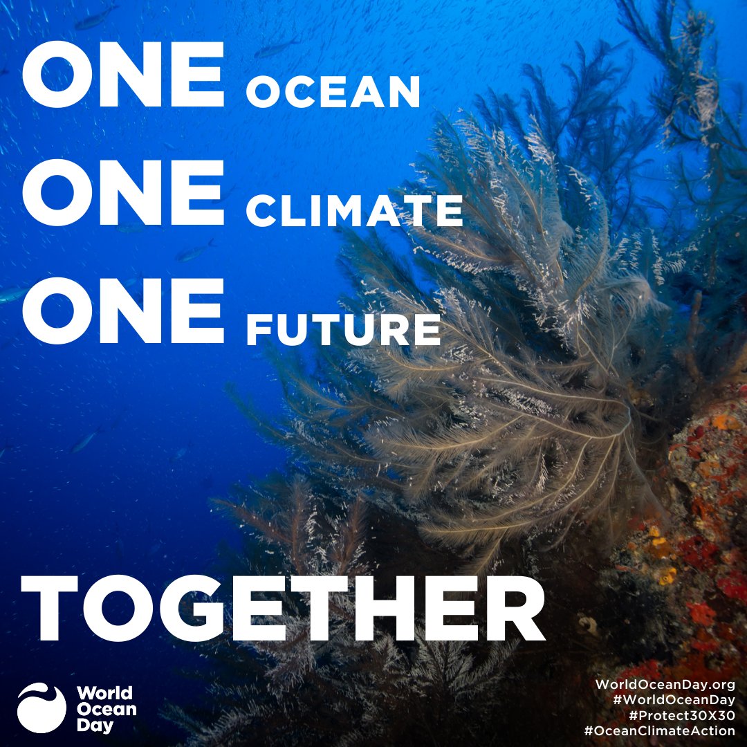 World Oceans Day!

You can find out more information on the work that goes into ocean conservation here: worldoceanday.org