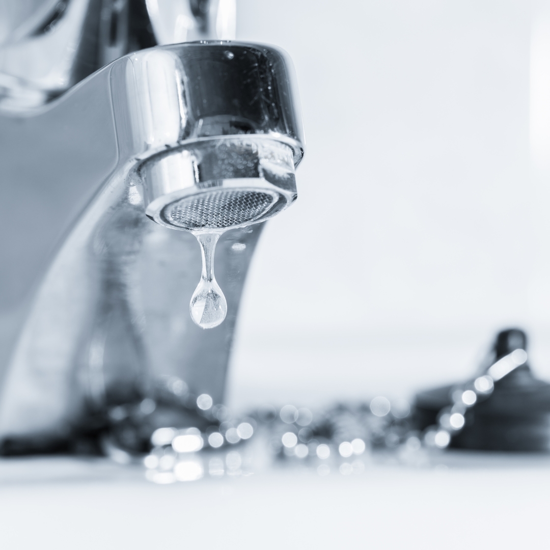 RitchiesYYC's tweet photo. We have you covered for all of your plumbing, heating and gas fitting needs. Call us today or visit our website to learn more https://t.co/dRiizscqSZ

#water #yycliving #propertymaintenance #yyc #calgary #plumbing #yycplumbing #yyctoday #furnace #furnacerepair #leakrepair https://t.co/ZMV6y9lxZW