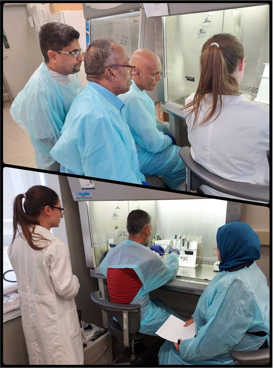 ProMED_mail's tweet image. Training was done by the @WHO Collaborating Center for Reference &amp;amp; Research on Bacterial Pathogens at the @AUB_Lebanon on Phenotypic &amp;amp; Molecular (PCR) Detection and NGS Subtyping of N. meningitidis to MENA Participants.

Featuring #ProMED Moderator, Dr Ghassan Matar. #ISID 🥼🔬