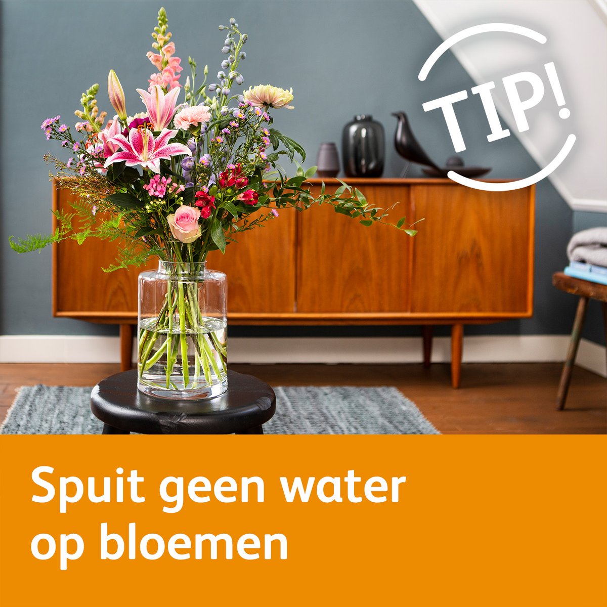 Chrysal Benelux tweet media