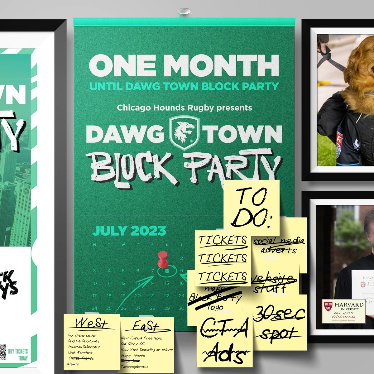 Chicago Hounds tweet media