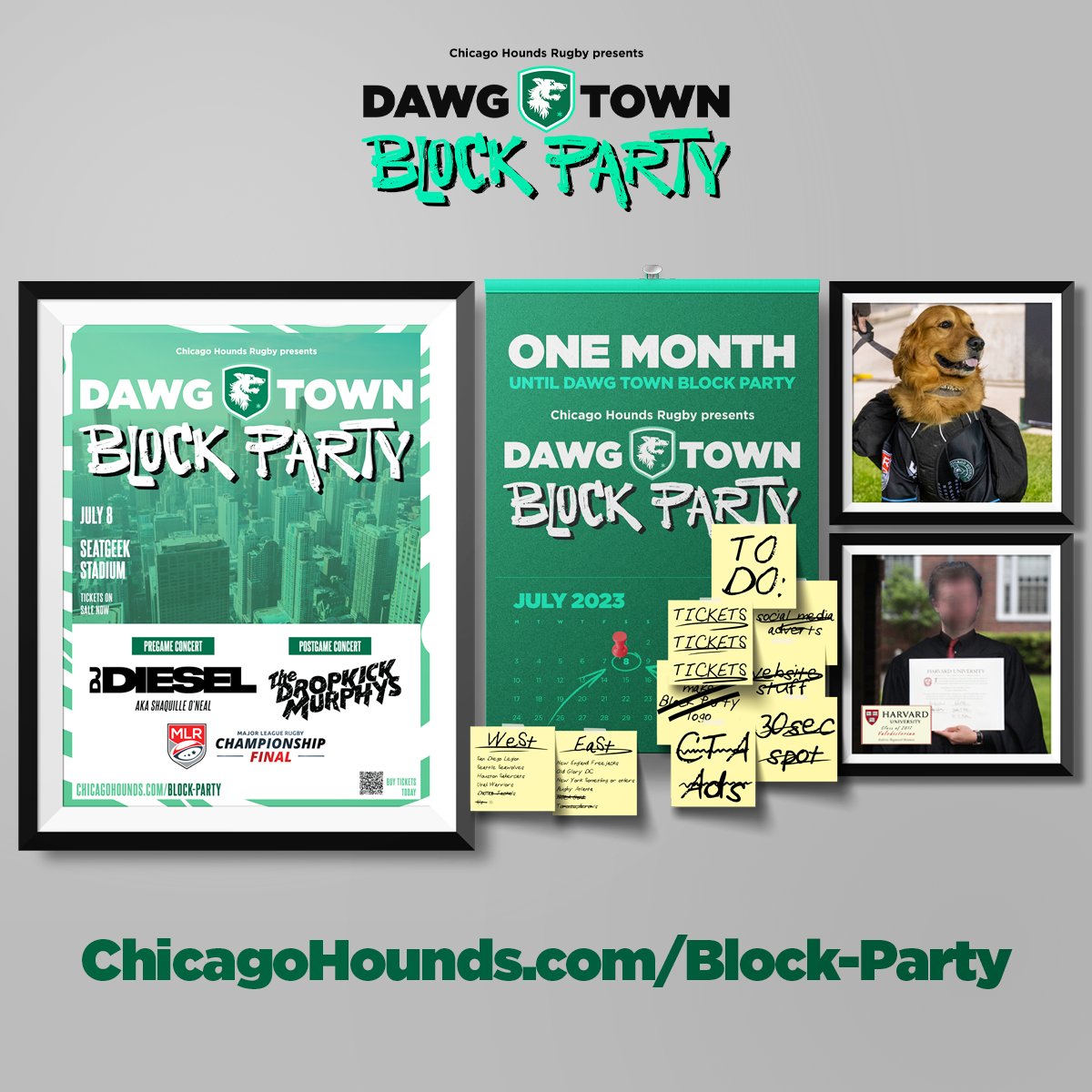 Chicago Hounds tweet media