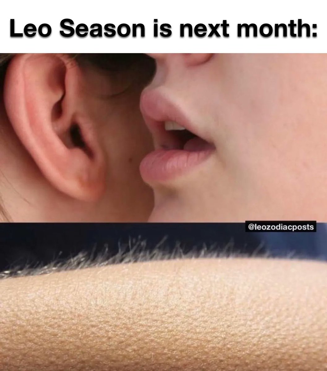 They aren’t ready for us 😈🦁