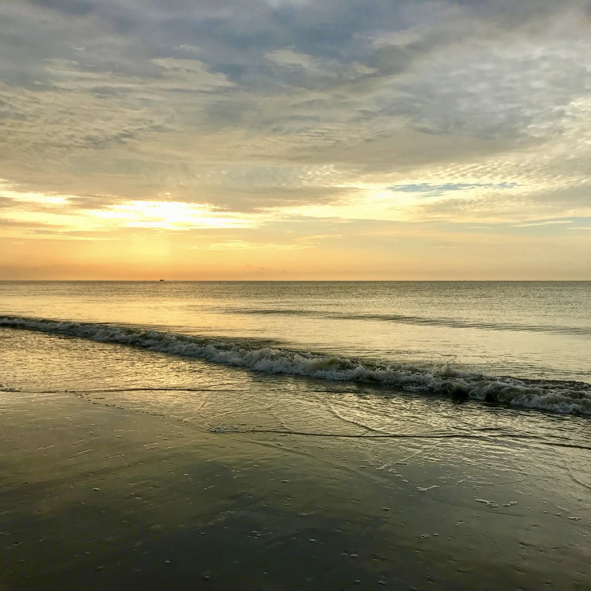 VERB Interactive tweet media