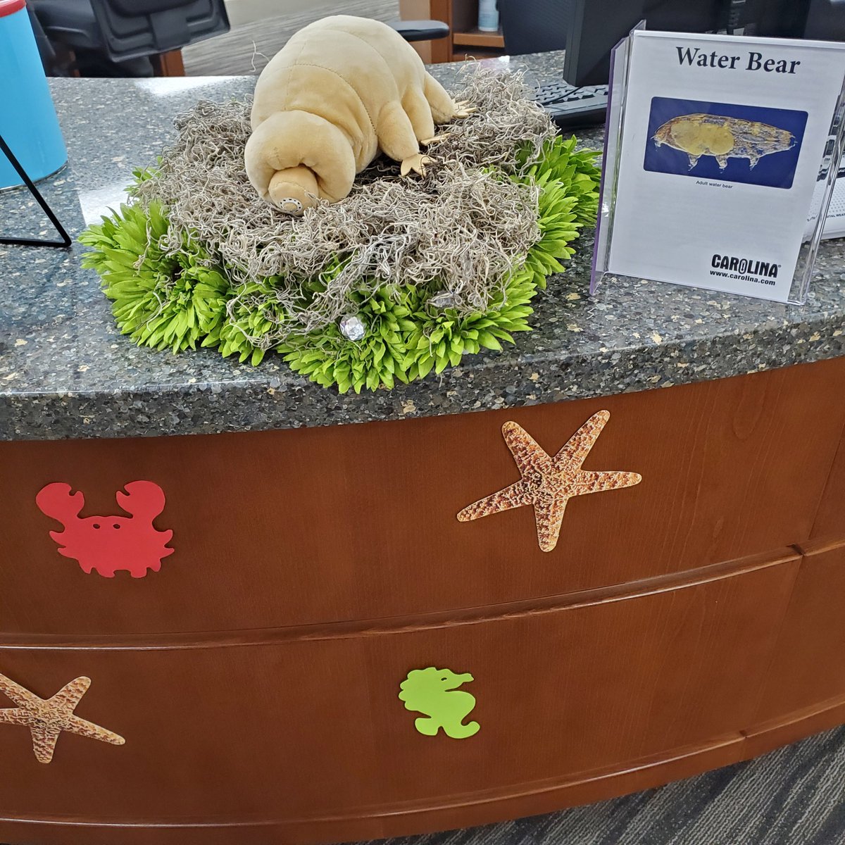 White Oak Library District tweet media