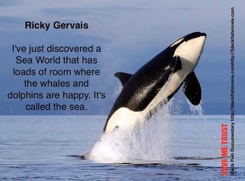 @rickygervais Happy #oceanday Ricky and let's not forget the #Doplhins and #Whales that are meant to be free in the sea,not in captivity.