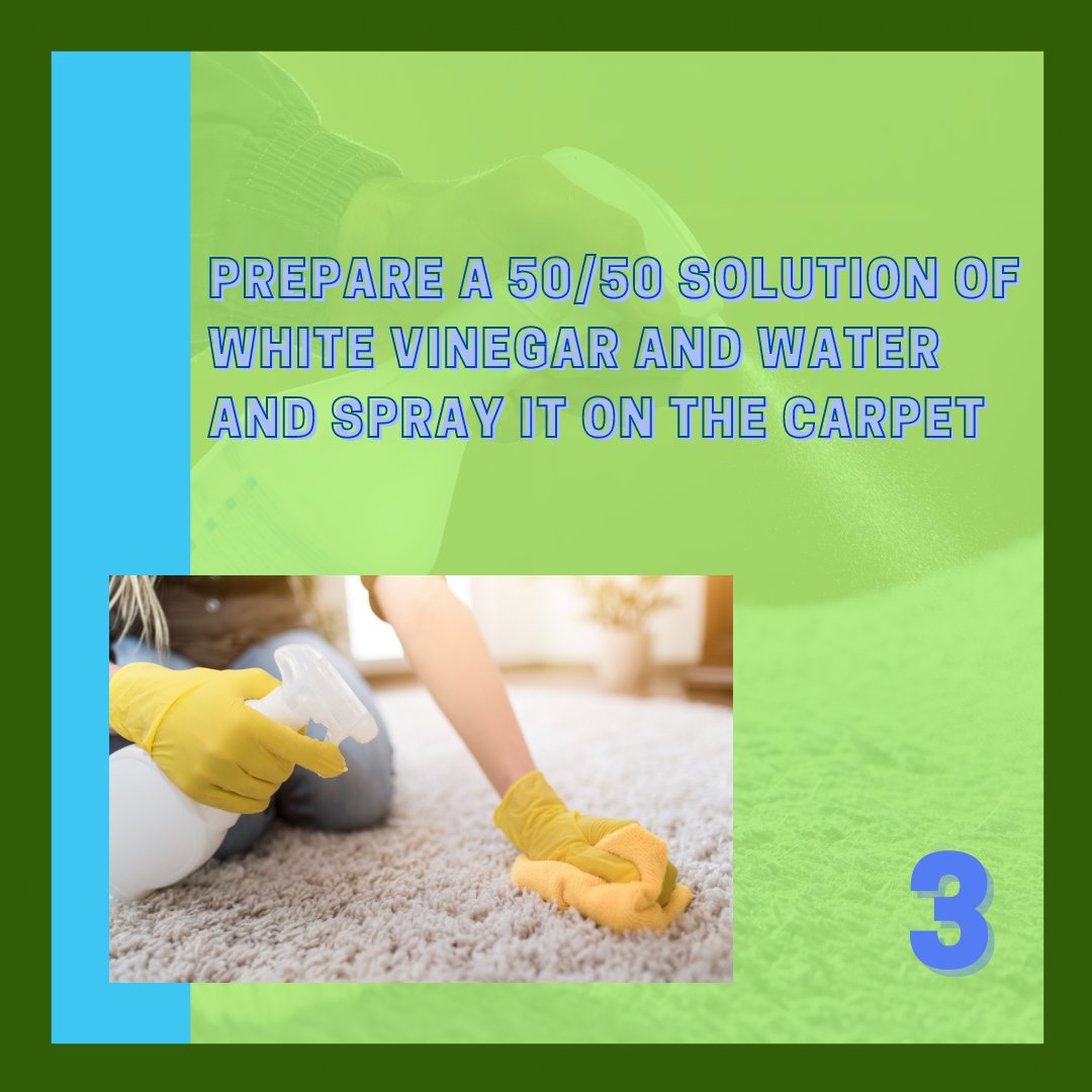 Ditch the chemicals and try this eco-friendly carpet cleaning hack! Follow these 3 simple steps for a clean carpet + happy planet! 🌍💚 
#GreenLiving #NaturalCleaning