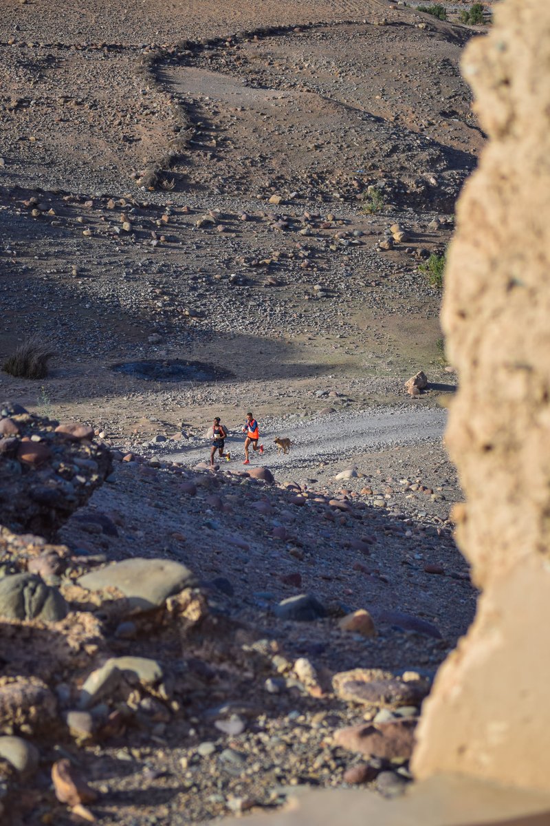 Un week-end trail dans les versants montagneux d’Amizmiz ! 🏜

#maroc #trailmaroc #traildesert #ultratrailamizmiz  #trail #ultratrail #trailer #sport #run #running #runner #challenge #extremesports #ultratrailrunner 

📸Trail Maroc