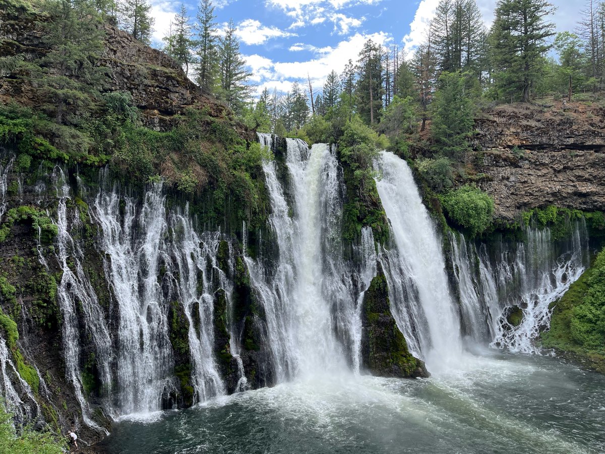 Another beneficiary of the wet California winter this year is #BurneyFalls in Shasta County, which is experiencing dramatic flows.