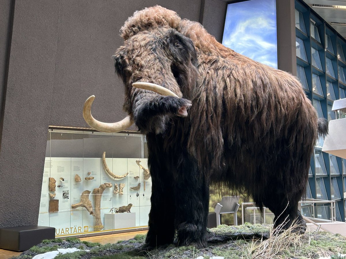 René Dederichs (@rendedeer) on Twitter photo I visited both the <a href="/SMNStuttgart/">Naturkundemuseum Stuttgart</a> and the Wilhelma Zoo - both are amazing but I guess I visit it when there is no metaphorical zerg rush of people I visited both the <a href="/SMNStuttgart/">Naturkundemuseum Stuttgart</a> and the Wilhelma Zoo - both are amazing but I guess I visit it when there is no metaphorical zerg rush of people