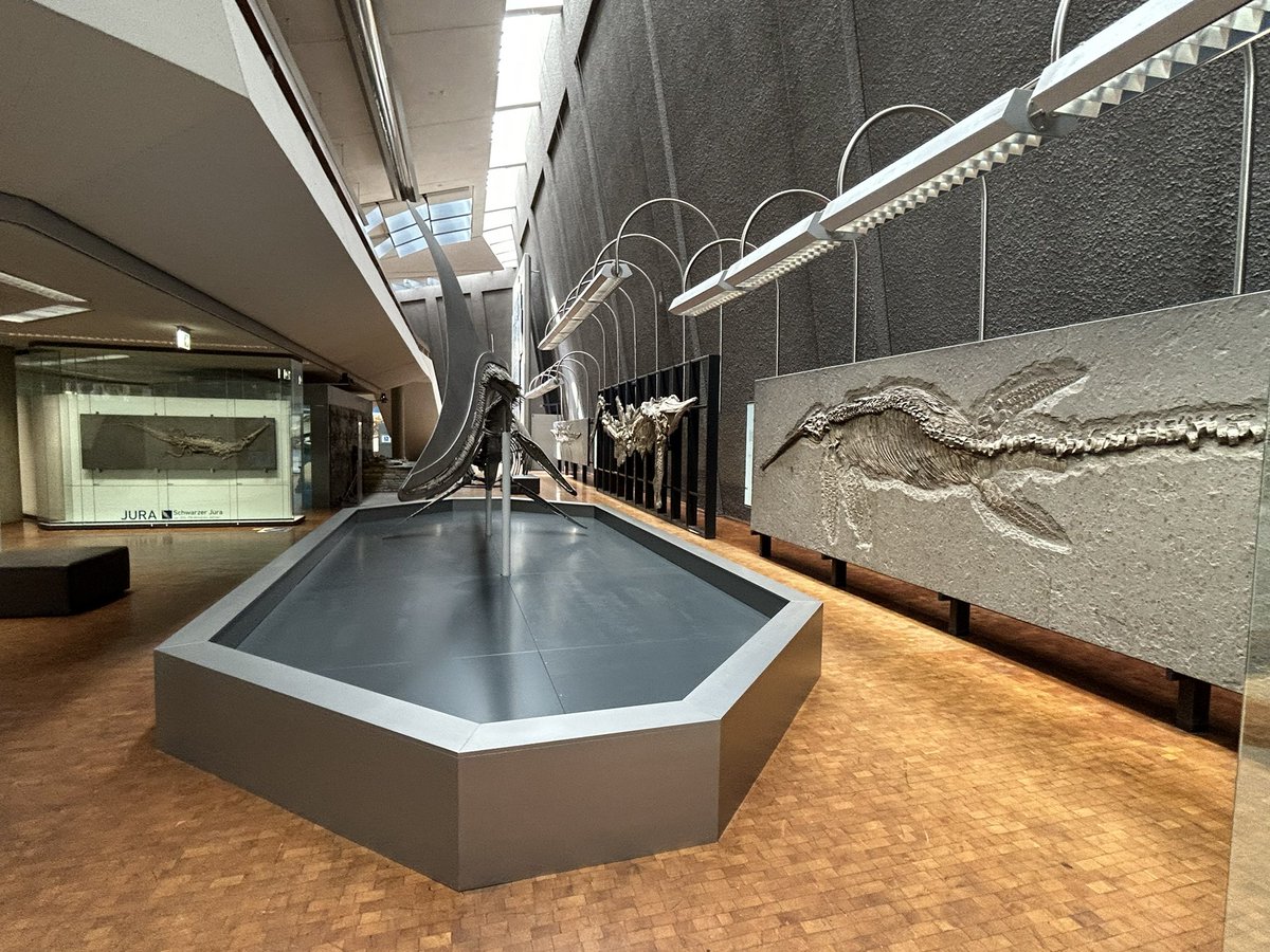 Rendedeer's tweet image. I visited both the @SMNStuttgart and the Wilhelma Zoo - both are amazing but I guess I visit it when there is no metaphorical zerg rush of people