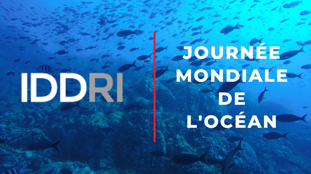 À l’occasion de la #JournéeMondialedelOcéan, l’Iddri vous propose deux publications inédites sur des sujets faisant l’objet d’une attention politique contrastée. 
🧵👇1/7