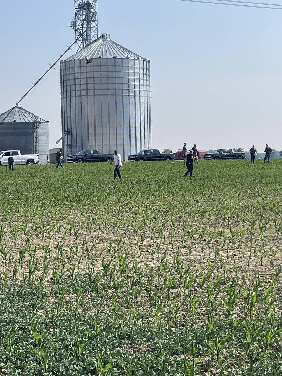 Mitch Greve tweet media