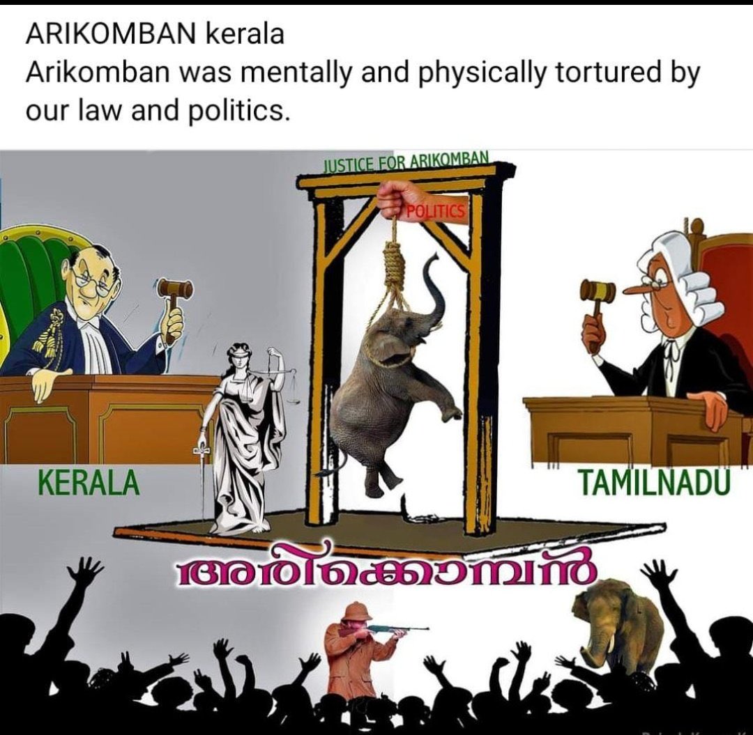The real Kerala story, TN is an ally.