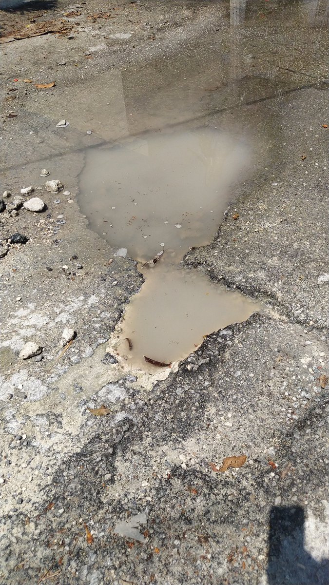 georloeza's tweet photo. @ServPublicosBj @anapatyp #reportayaporta #cancunnosune tengo un reporte con folio CB-0000509 del 17nov22 que no han atendido envío foto actual vs foto del reporte, para cuando atienden ? Lleva casi 7meses el reporte https://t.co/s9XbnFVyN8