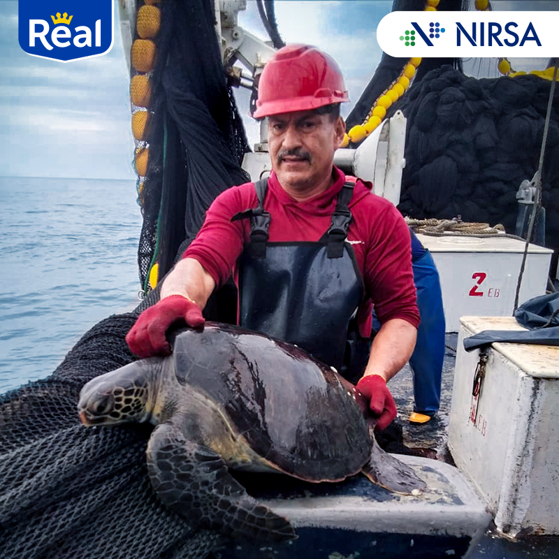 NirsaOficial's tweet photo. Hoy en día, el hogar de miles de especies está bajo amenaza.

Ayúdanos a proteger al océano para un futuro más sostenible.

Conoce nuestras acciones: https://t.co/e4Ty6HBM3R

#SinOcéanoNoHayHogar 🌊❤️