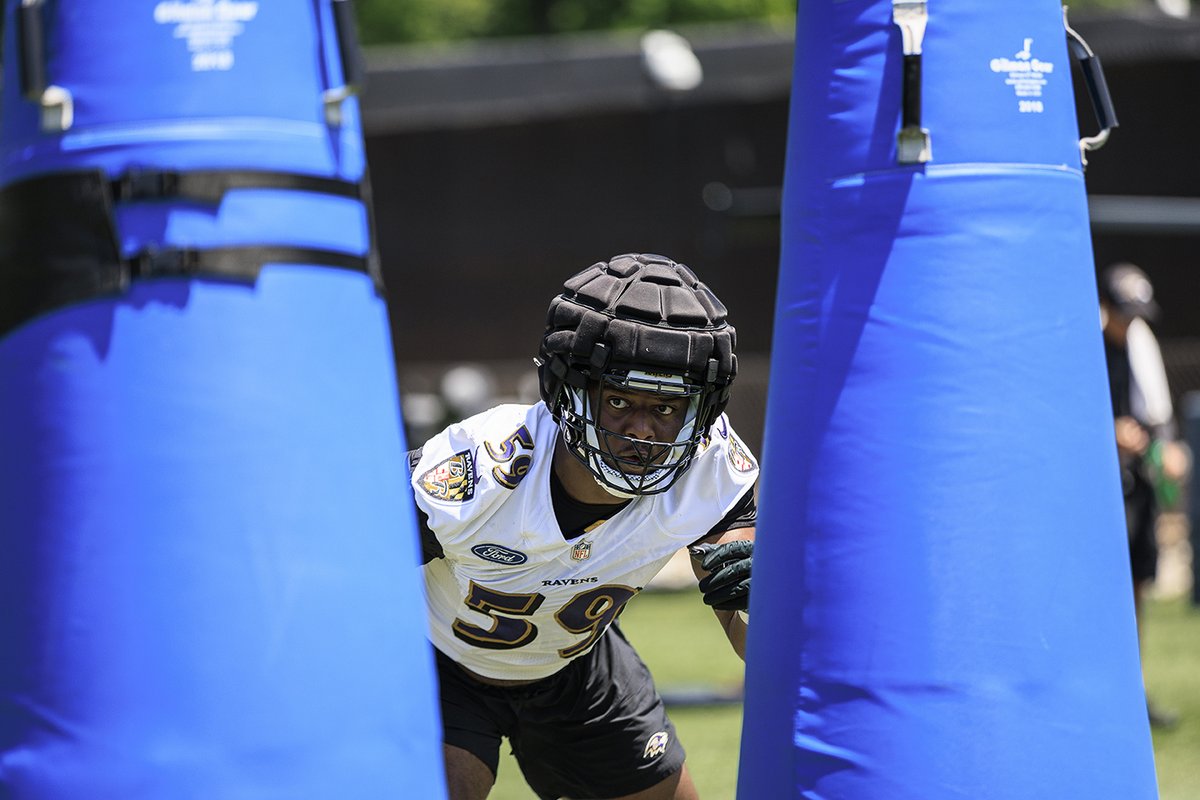 LafColFootball's tweet photo. .@maniachamm has been putting in work at OTAs with the @Ravens. He'll be back at it next week at the team's minicamp. 

(Photos courtesy of the Baltimore Ravens) https://t.co/NSH45zmAb1