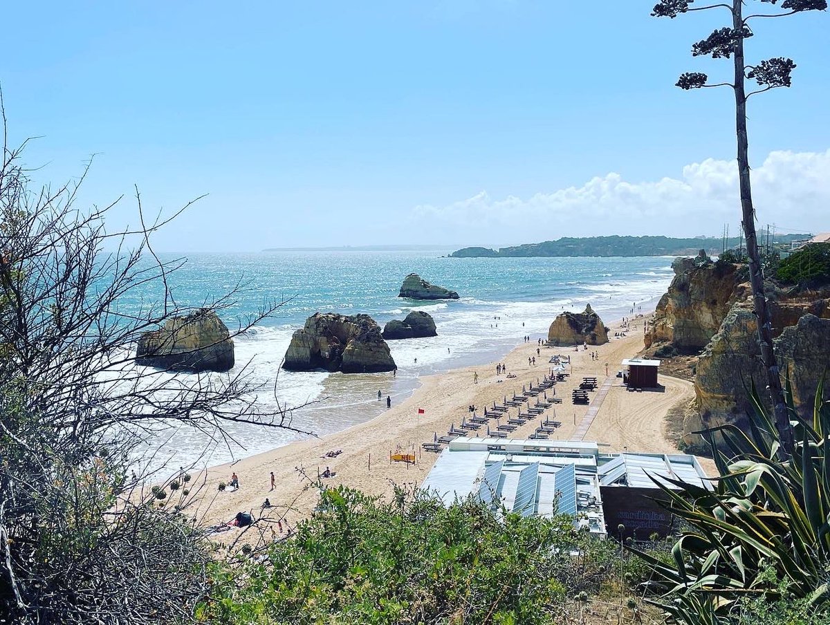 Jake Clark tweet media