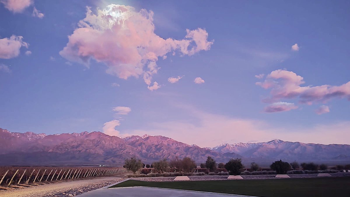 Bodega Flechas de los Andes (@flechaswineok) on Twitter photo Tranquilas las mañanas de otoño en <a href="/flechaswineok/">Bodega Flechas de los Andes</a>. Toda la belleza del #ValledeUco y la Cordillera … ⛰🍇 Tranquilas las mañanas de otoño en <a href="/flechaswineok/">Bodega Flechas de los Andes</a>. Toda la belleza del #ValledeUco y la Cordillera … ⛰🍇