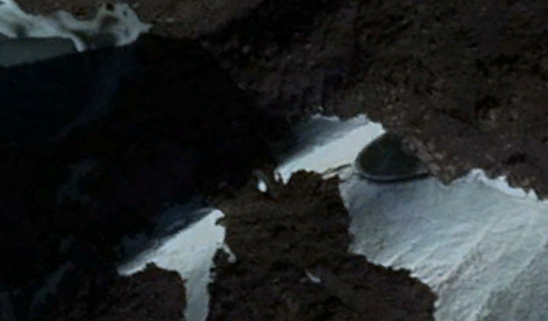 𝘿𝙐𝙆𝙀 𝙊𝙍𝘽𝙄𝙏𝙎 ᯅ tweet media