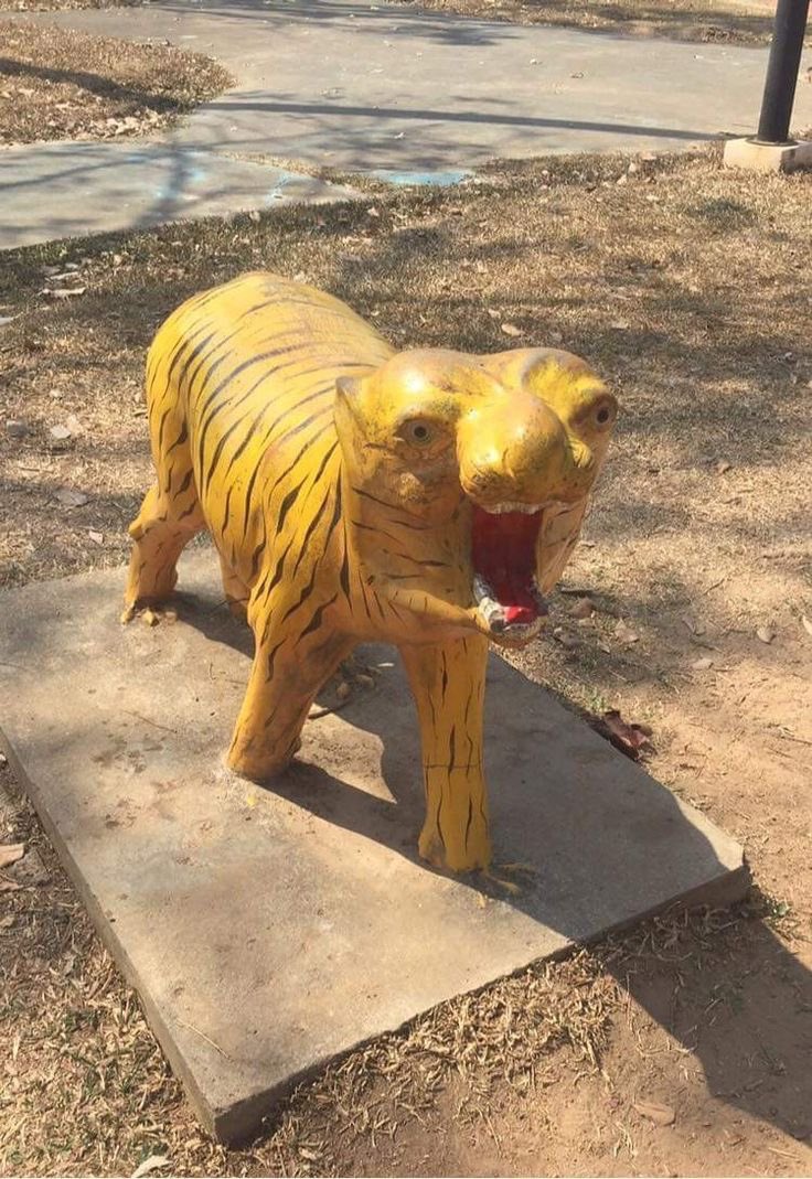 charlie (@ogcharliebf) on Twitter photo 