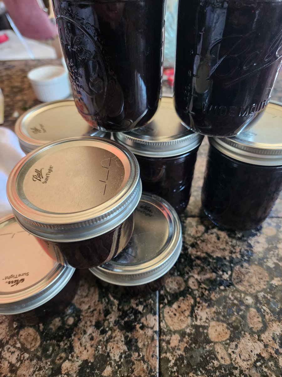 krismazy's tweet photo. 12 pints and 6 half pints of blueberry jam #krisandlarry #eatwhatyoumake #blueberry #blueberryjam #homemadejam #canning #canyourownfood #modernhomestead #chinovalleyaz https://t.co/TuveEB0cau