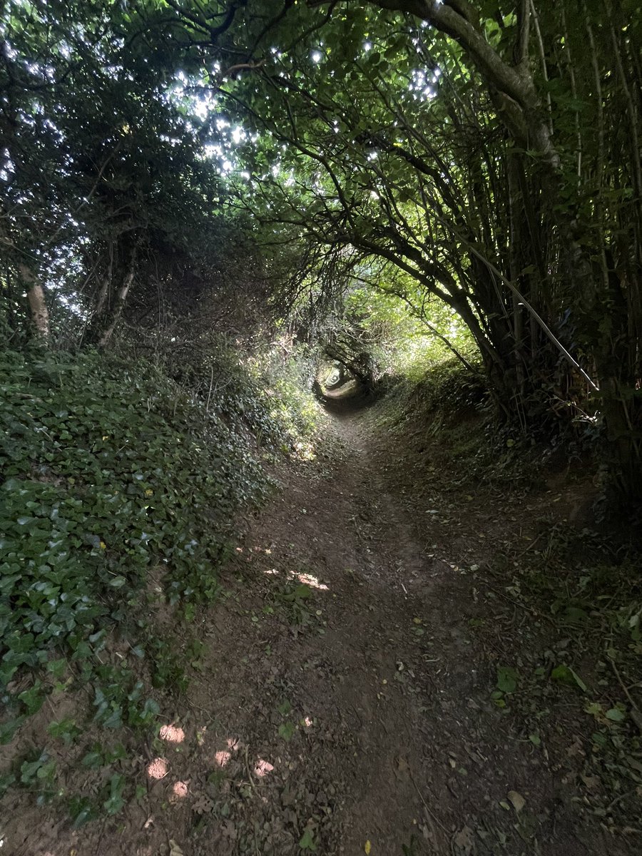 ChrisJSquire's tweet image. Exeter to Yeovil is one of my favourite run-train commutes! Get to YVJ &amp;amp; it’s trails &amp;amp; parks all the way to town &amp;amp; then @SomersetCouncil offices. And cows.