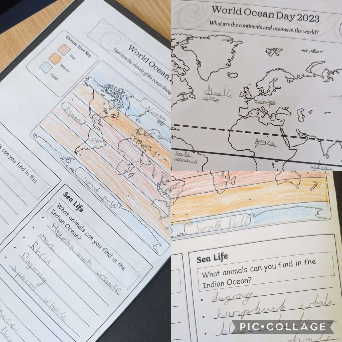 Year 3 HighStPrimary tweet media