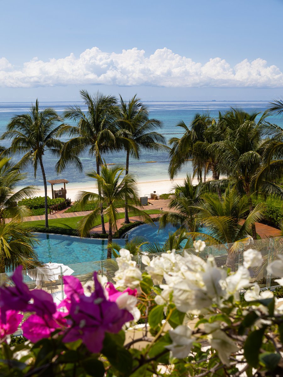 GVRivieraMaya's tweet photo. Lounge on our pristine white sand beach or take a dip in our sparkling infinity pool, where you can enjoy poolside and beach waiter services. Enhance your #MyVelasExperience with the enchanting #FeelsLikeMagic and embrace the ultimate #SummerVibes. https://t.co/Ib6D0eQNCT