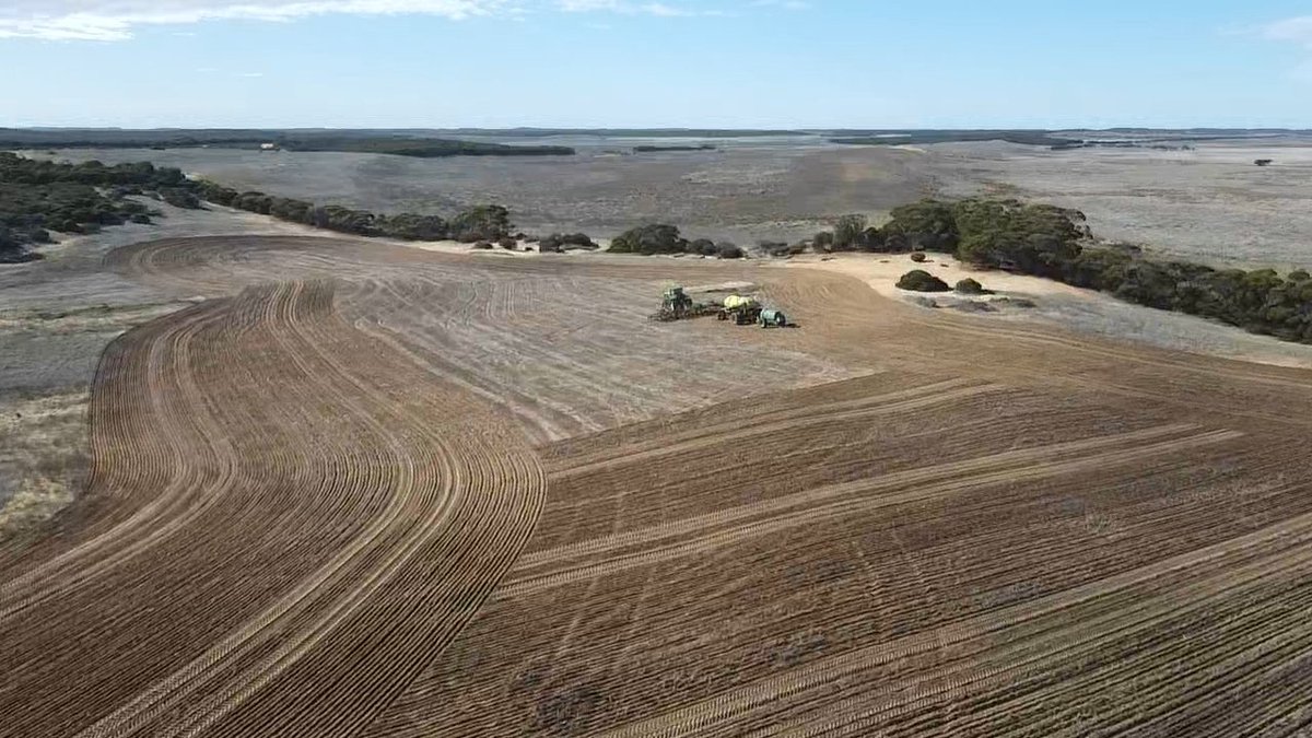 David Philbey tweet media