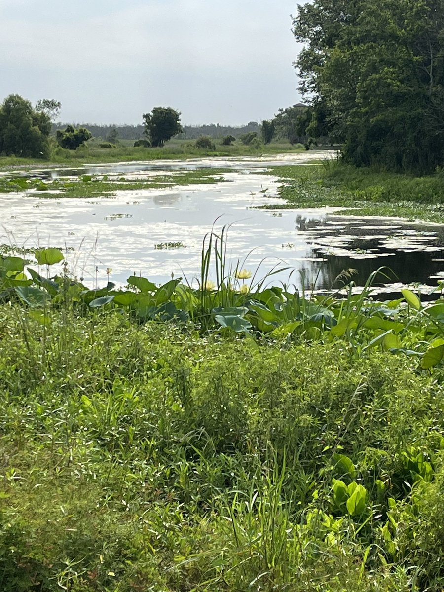 When writing and nature come together, beautiful learning happens!