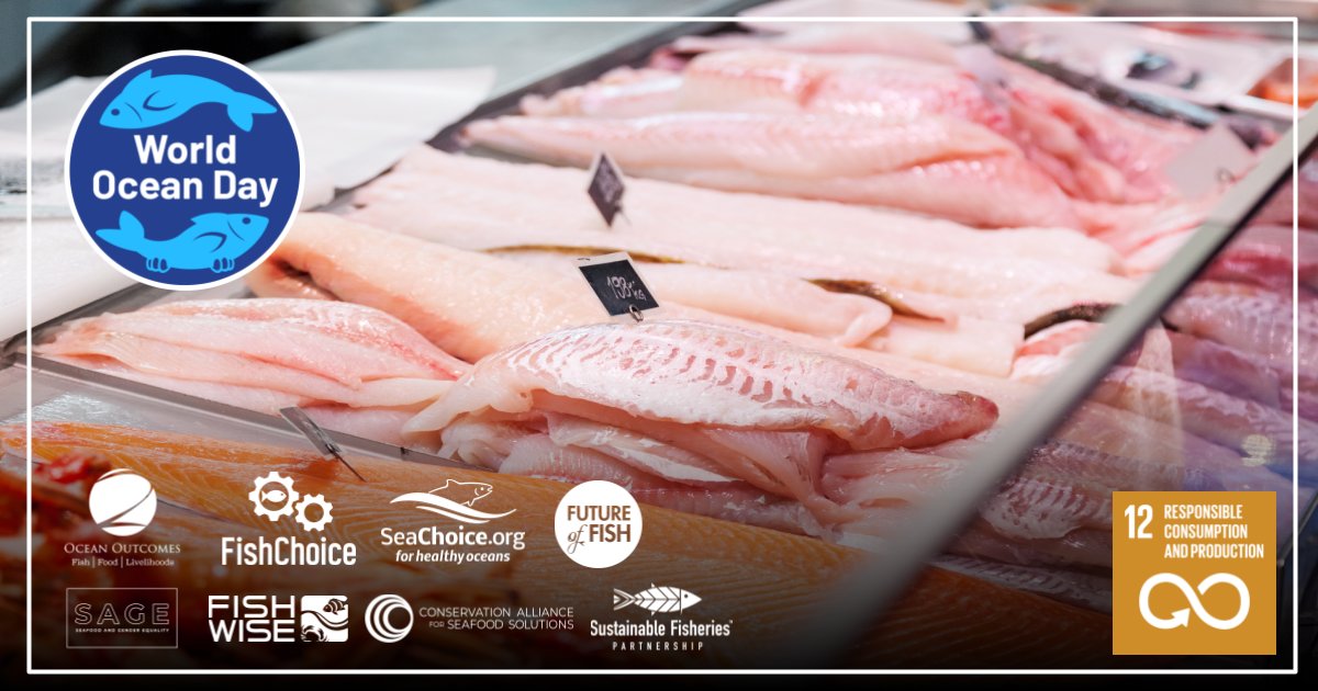 SeaChoice works towards the UN sustainable development goal for responsible consumption &amp; production, by assessing major grocers &amp; brands seafood commitments.

This #WorldOceanDay tell grocers and brands to do their part in sustaining our blue planet! seafoodprogress.org