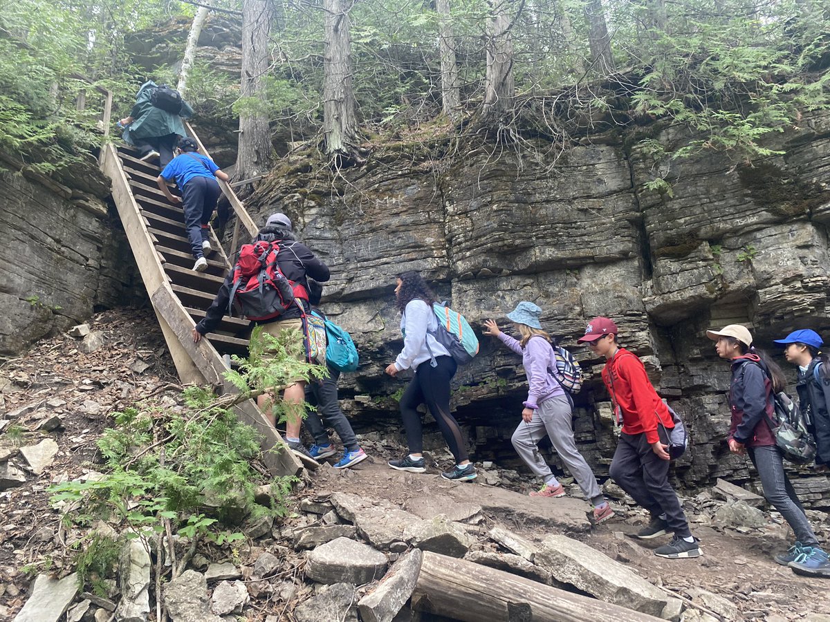 Brian Csinos tweet media