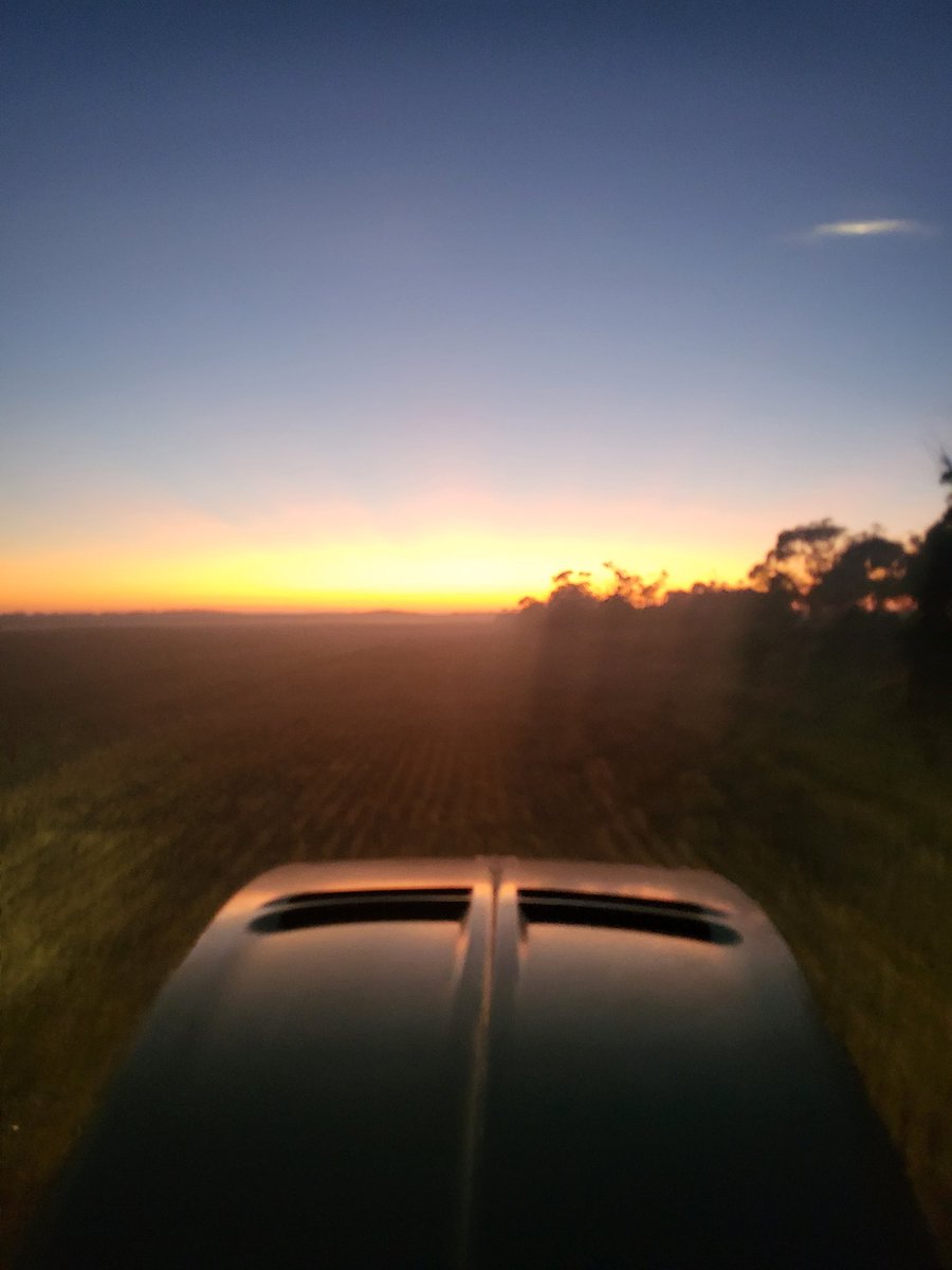 David Philbey tweet media