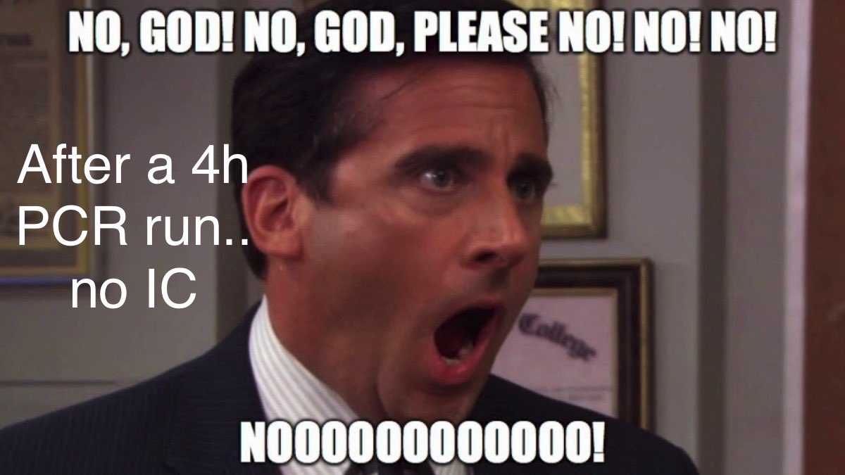 Joanna Kronda tweet media