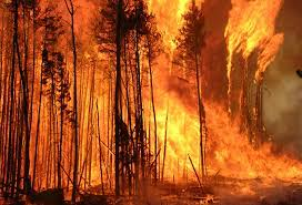 Tournie53's tweet photo. Merci à tous les pays qui viennent porter mains fortes à nos sapeurs pompiers du Québec,  pour combattre nos feux de forêts qui sont en train de détruire notre belle richesse! https://t.co/iD7ozoSQOg