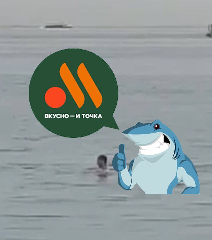 INNAfo on Twitter: "🦈 "Tasty and period": in Egypt, a shark ate a