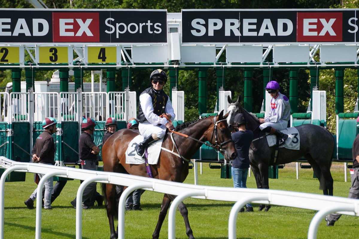 RaceShare's tweet photo. A GREAT DAY 🤩 for RaceShare owners and Joe Fanning today at Hamilton!
A treble on the day for Joe who gave our La Pulga an amazing ride from the front!
#horseracing #syndicate #RaceShare #LaPulga https://t.co/WBqi9F0h7G