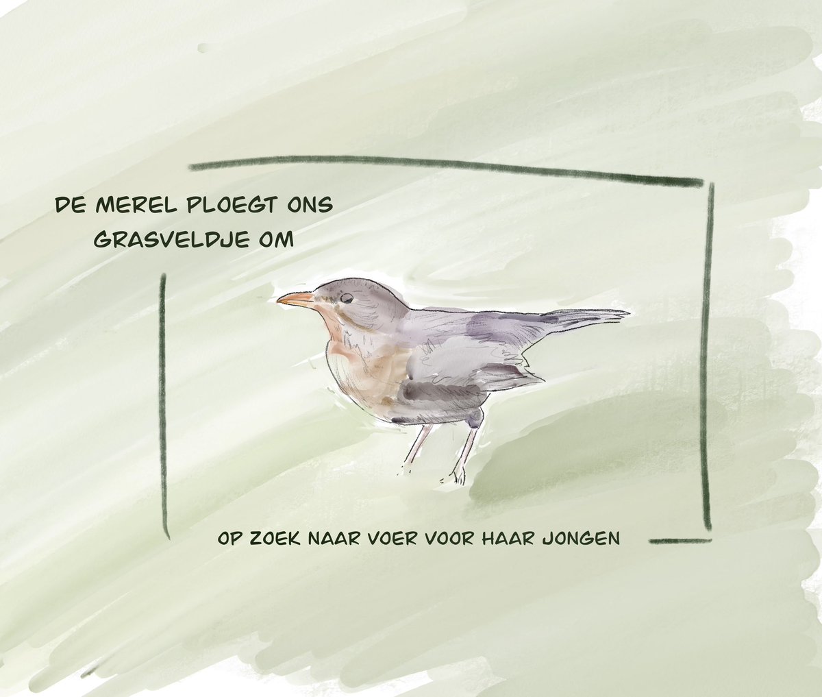 OCPTop's tweet image. Gisteren vielen al fladderend de twee jongen uit het nest 😍