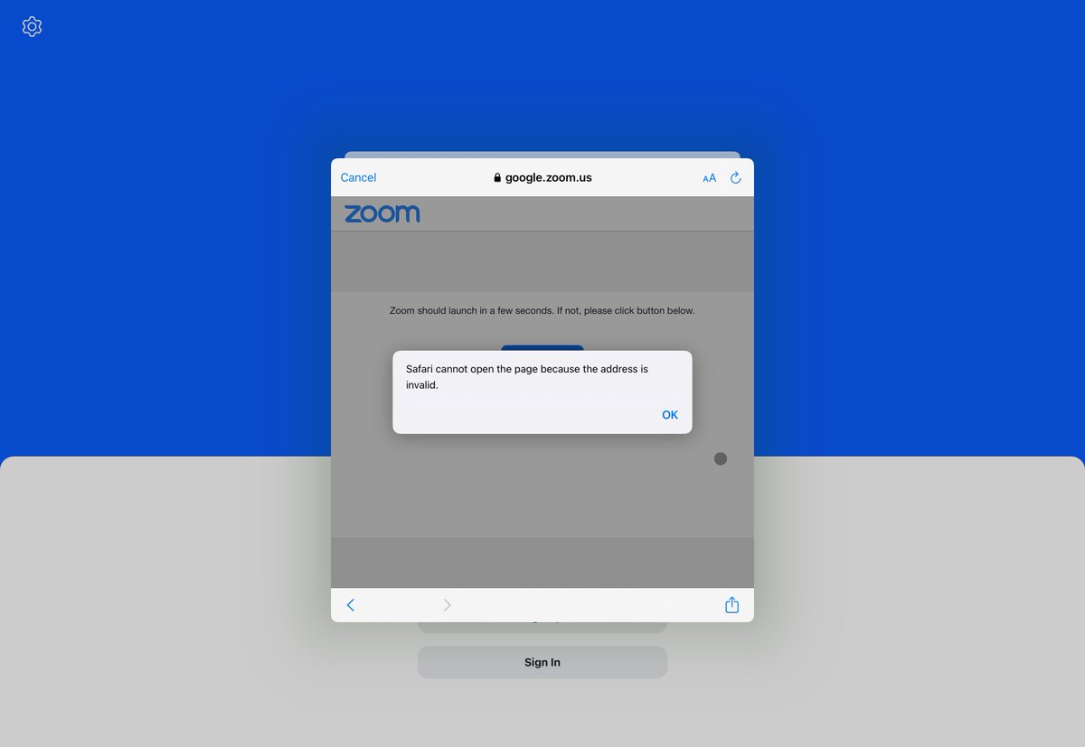 Dear <a href="/Zoom/">Zoom</a>, I am subscribed using my Google account (oAuth). How am I supposed to log into my account on my iOS devices?